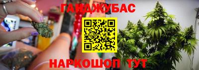 молекула духа Боровичи