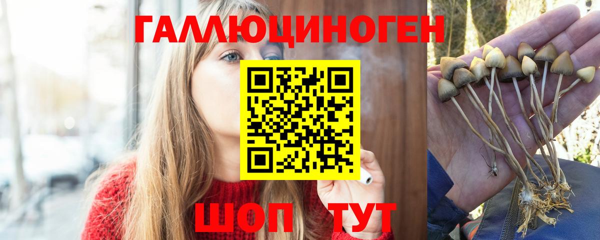 Галлюциногенные грибы ЛСД  Вход с VPN  Псилоцибиновые грибы Psilocybe  Астрахань 