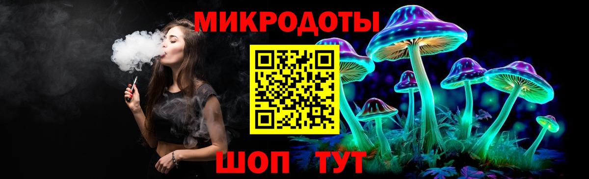 Галлюциногенные грибы Psilocybe Астрахань